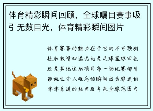 体育精彩瞬间回顾，全球瞩目赛事吸引无数目光，体育精彩瞬间图片